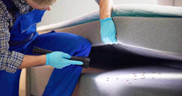 Best Local Pest Control Services  in Dunkirk, IN