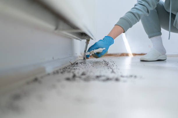 Insect Control in Dunkirk, IN