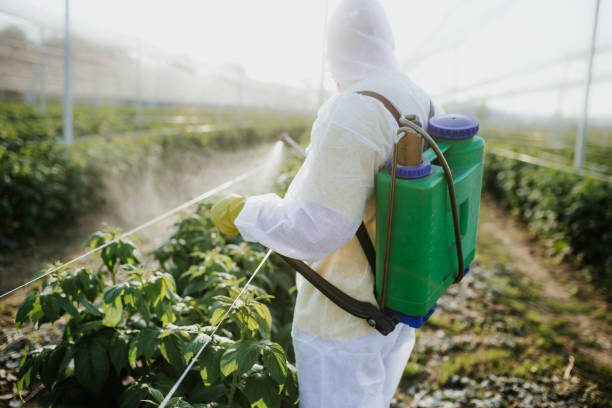Trusted Dunkirk, IN Pest Control Experts